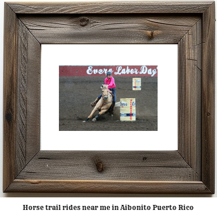 horse trail rides near me in Aibonito, Puerto Rico